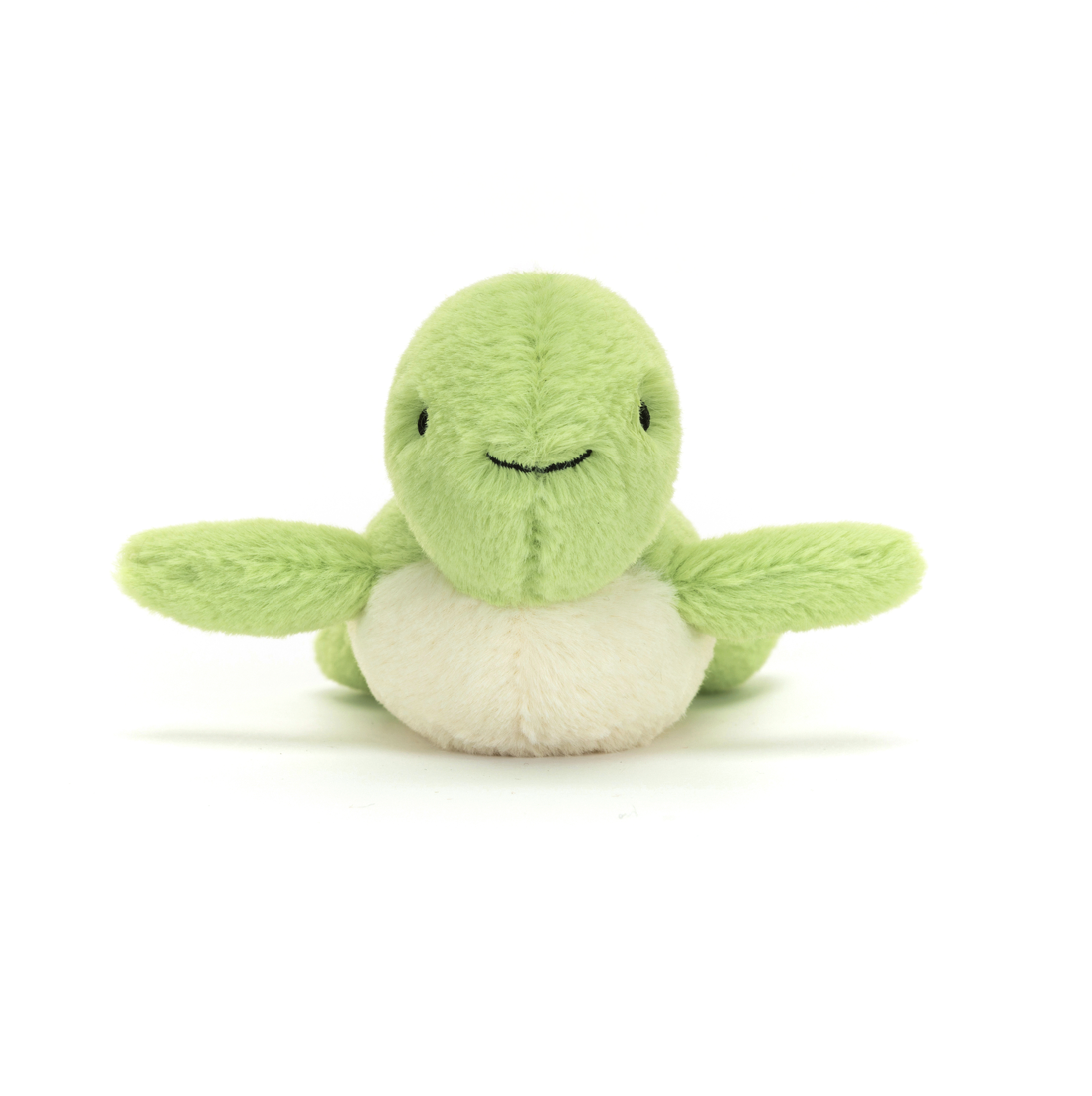 Fluffy Turtle
